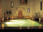 riad farnatchi
